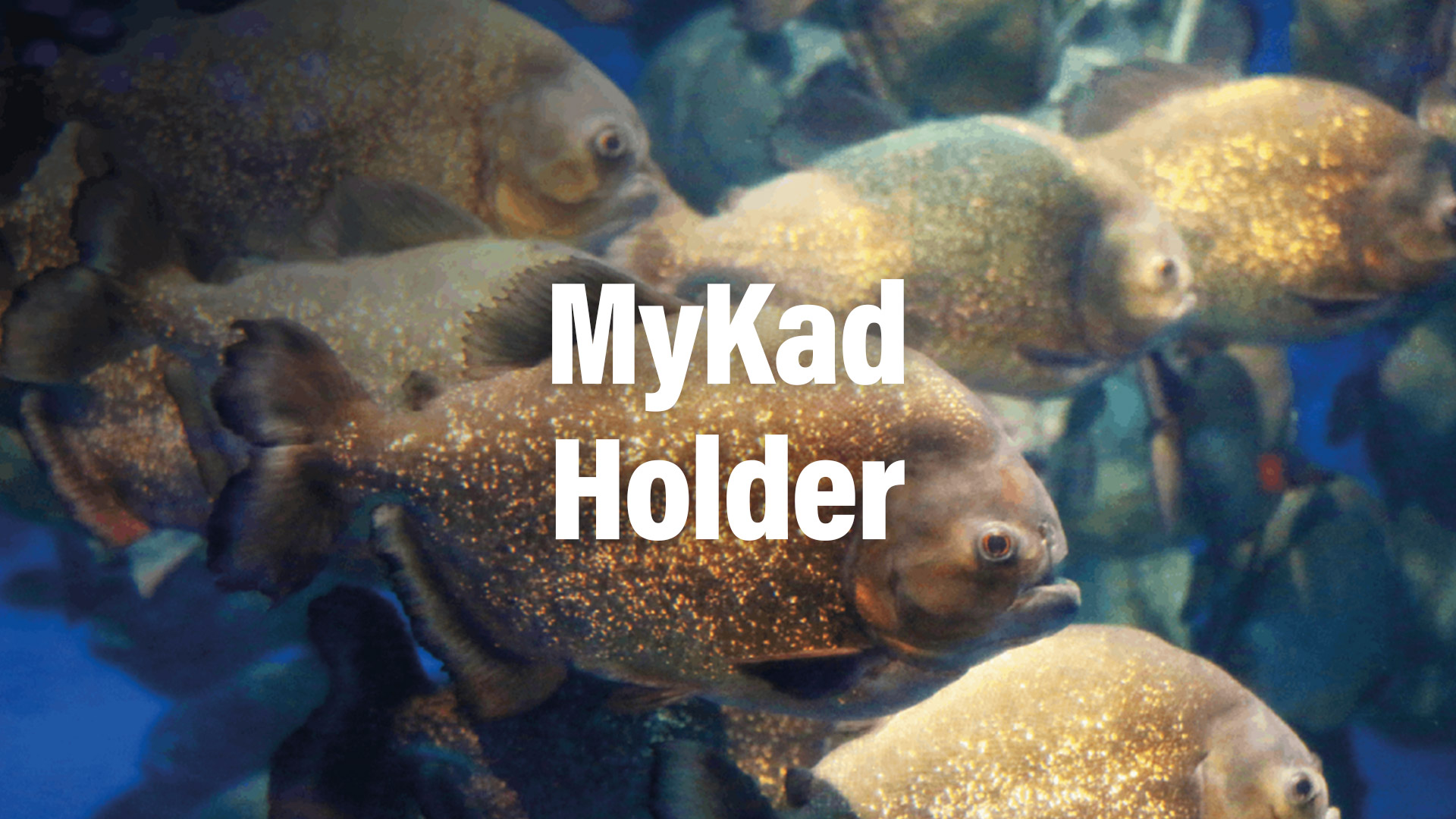 Aquaria KLCC mykad Holder